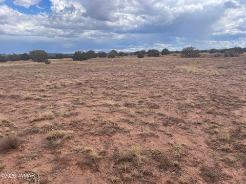 Photo of 4235 Clydesdale Road, Snowflake, AZ 85937 (MLS # 258089)
