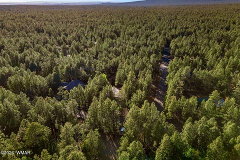Tiny photo for 7172 Buck Springs Road, Pinetop, AZ 85935 (MLS # 261288)