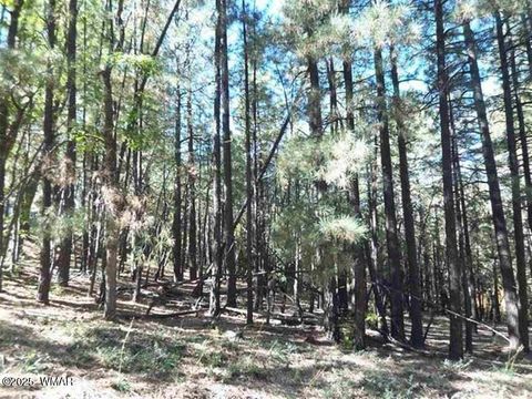 Tiny photo for 6166 Paradise Pine Lane, Pinetop, AZ 85935 (MLS # 257109)