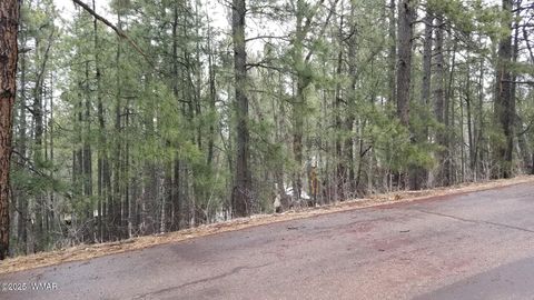 Photo of 6166 Paradise Pine Lane, Pinetop, AZ 85935 (MLS # 257109)