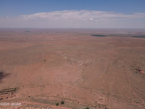 Tiny photo for 9312 Woodruff Hay Hollow Road, Snowflake, AZ 85937 (MLS # 257056)