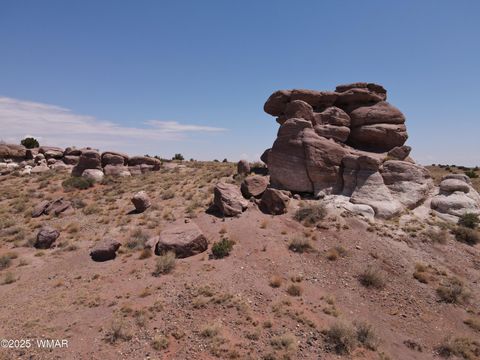 Tiny photo for 9312 Woodruff Hay Hollow Road, Snowflake, AZ 85937 (MLS # 257056)