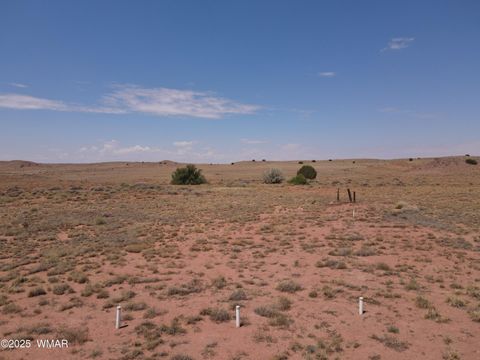 Tiny photo for 9312 Woodruff Hay Hollow Road, Snowflake, AZ 85937 (MLS # 257056)