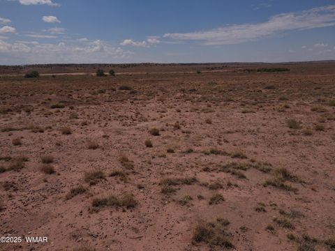 Tiny photo for 9312 Woodruff Hay Hollow Road, Snowflake, AZ 85937 (MLS # 257056)