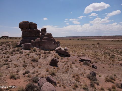 Tiny photo for 9312 Woodruff Hay Hollow Road, Snowflake, AZ 85937 (MLS # 257056)