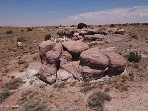 Tiny photo for 9312 Woodruff Hay Hollow Road, Snowflake, AZ 85937 (MLS # 257056)