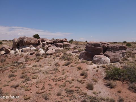 Tiny photo for 9312 Woodruff Hay Hollow Road, Snowflake, AZ 85937 (MLS # 257056)