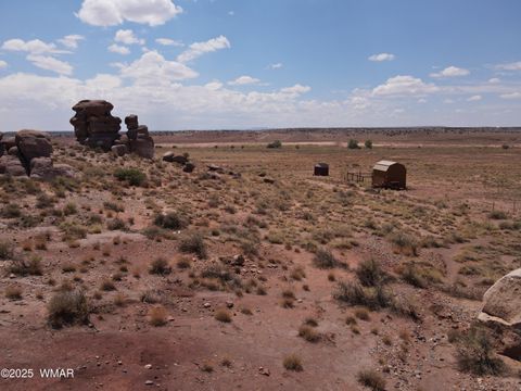 Tiny photo for 9312 Woodruff Hay Hollow Road, Snowflake, AZ 85937 (MLS # 257056)