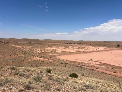 Tiny photo for 9312 Woodruff Hay Hollow Road, Snowflake, AZ 85937 (MLS # 257056)