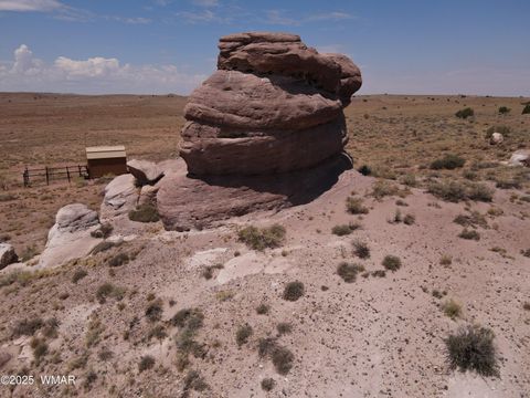 Tiny photo for 9312 Woodruff Hay Hollow Road, Snowflake, AZ 85937 (MLS # 257056)
