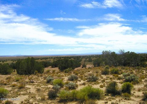 Photo of TBD Lot 372 CR N7150, Saint Johns, AZ 85936 (MLS # 259295)