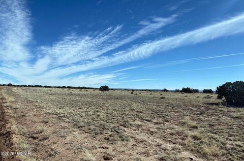 Tiny photo for TBD Lot 372 CR N7150, Saint Johns, AZ 85936 (MLS # 259295)