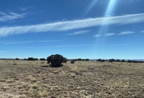 Tiny photo for TBD Lot 372 CR N7150, Saint Johns, AZ 85936 (MLS # 259295)