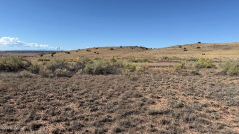 Photo of 0 US-180 203-79-009C, Concho, AZ 85924 (MLS # 263539)
