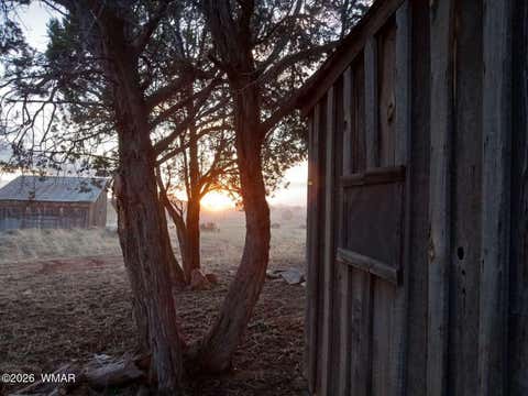 Tiny photo for 6527 Maxwell Lane, Show Low, AZ 85901 (MLS # 261199)