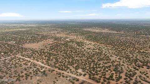 Tiny photo for 4189 Sorrel Road, Snowflake, AZ 85937 (MLS # 258305)