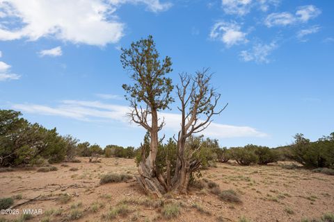 Tiny photo for 4189 Sorrel Road, Snowflake, AZ 85937 (MLS # 258305)