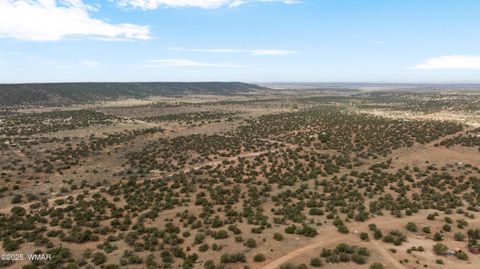 Tiny photo for 4189 Sorrel Road, Snowflake, AZ 85937 (MLS # 258305)