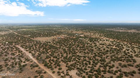 Tiny photo for 4189 Sorrel Road, Snowflake, AZ 85937 (MLS # 258305)