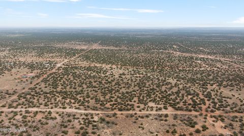 Tiny photo for 4189 Sorrel Road, Snowflake, AZ 85937 (MLS # 258305)