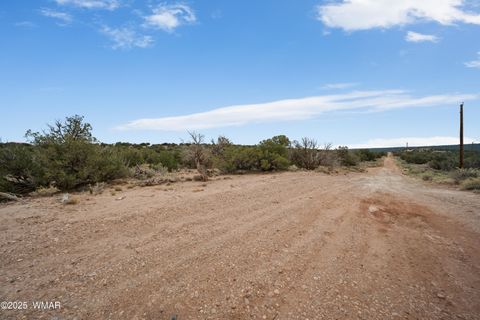 Tiny photo for 4189 Sorrel Road, Snowflake, AZ 85937 (MLS # 258305)