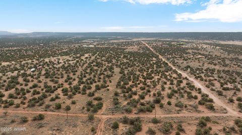 Tiny photo for 4189 Sorrel Road, Snowflake, AZ 85937 (MLS # 258305)