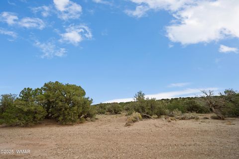 Tiny photo for 4189 Sorrel Road, Snowflake, AZ 85937 (MLS # 258305)