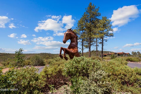 Tiny photo for 512 Fieldy Road, Show Low, AZ 85901 (MLS # 261335)