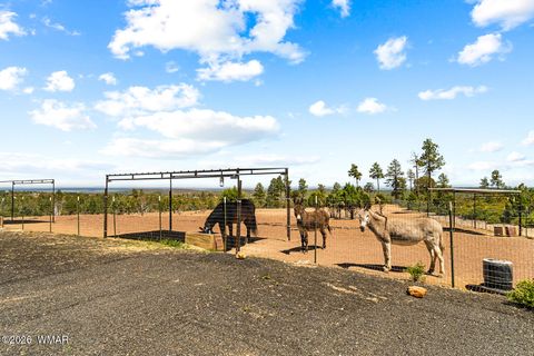 Tiny photo for 512 Fieldy Road, Show Low, AZ 85901 (MLS # 261335)
