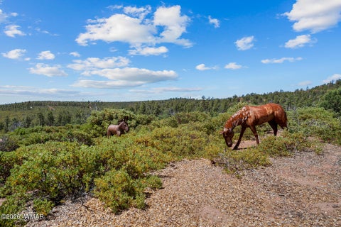 Tiny photo for 512 Fieldy Road, Show Low, AZ 85901 (MLS # 261335)