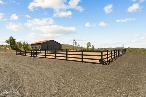 Tiny photo for 512 Fieldy Road, Show Low, AZ 85901 (MLS # 261335)