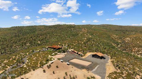 Tiny photo for 512 Fieldy Road, Show Low, AZ 85901 (MLS # 261335)