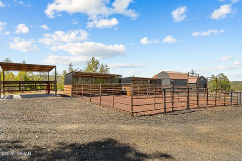 Tiny photo for 512 Fieldy Road, Show Low, AZ 85901 (MLS # 261335)