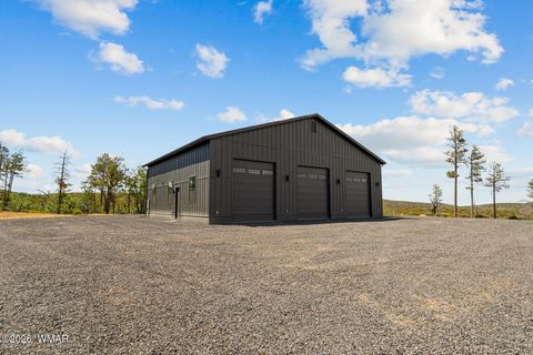 Tiny photo for 512 Fieldy Road, Show Low, AZ 85901 (MLS # 261335)