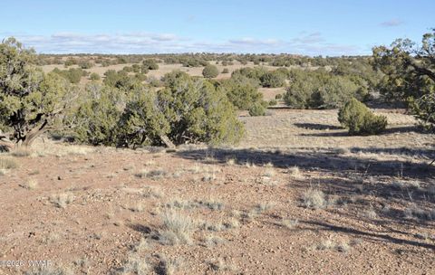 Tiny photo for 691 CR 5270, Concho, AZ 85924 (MLS # 259065)