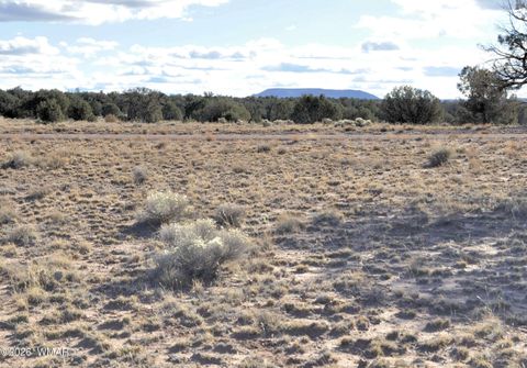 Tiny photo for 691 CR 5270, Concho, AZ 85924 (MLS # 259065)