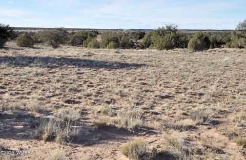 Tiny photo for 691 CR 5270, Concho, AZ 85924 (MLS # 259065)