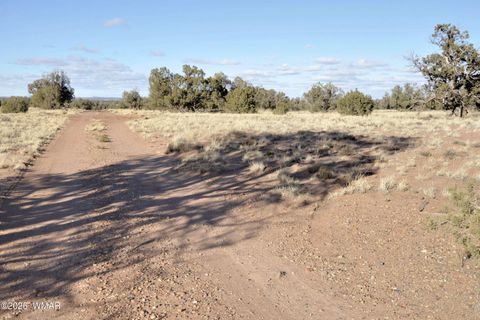 Tiny photo for 691 CR 5270, Concho, AZ 85924 (MLS # 259065)