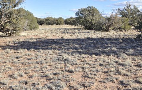 Tiny photo for 691 CR 5270, Concho, AZ 85924 (MLS # 259065)
