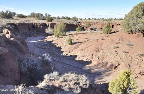 Tiny photo for 691 CR 5270, Concho, AZ 85924 (MLS # 259065)