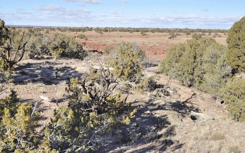 Tiny photo for 691 CR 5270, Concho, AZ 85924 (MLS # 259065)