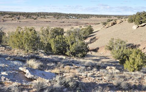 Tiny photo for 691 CR 5270, Concho, AZ 85924 (MLS # 259065)