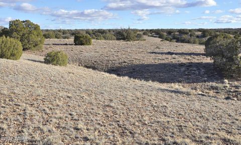 Tiny photo for 691 CR 5270, Concho, AZ 85924 (MLS # 259065)