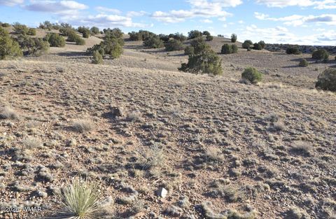 Tiny photo for 691 CR 5270, Concho, AZ 85924 (MLS # 259065)