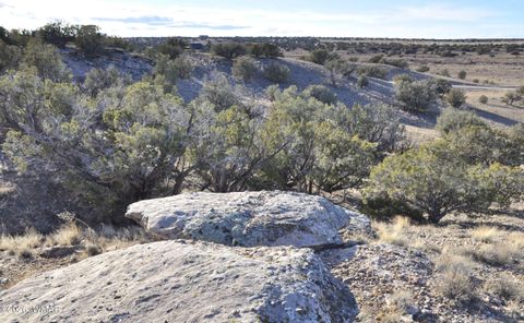 Tiny photo for 691 CR 5270, Concho, AZ 85924 (MLS # 259065)