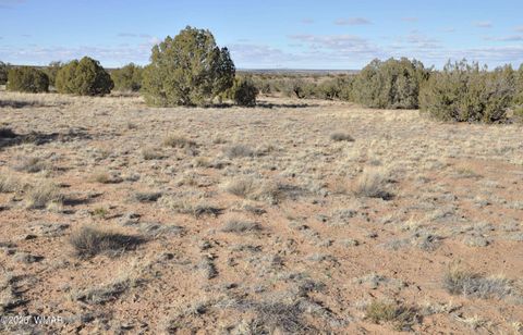 Tiny photo for 691 CR 5270, Concho, AZ 85924 (MLS # 259065)