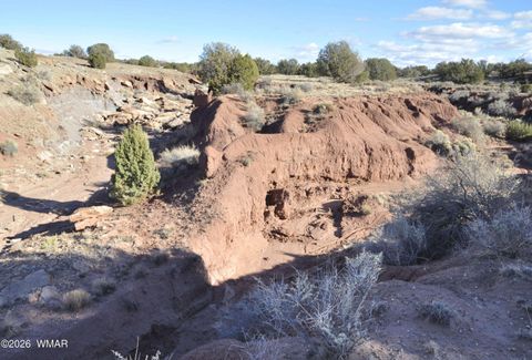 Tiny photo for 691 CR 5270, Concho, AZ 85924 (MLS # 259065)