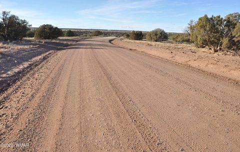 Tiny photo for 691 CR 5270, Concho, AZ 85924 (MLS # 259065)