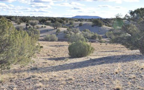 Photo of 691 CR 5270, Concho, AZ 85924 (MLS # 259065)