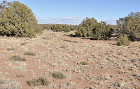 Tiny photo for 691 CR 5270, Concho, AZ 85924 (MLS # 259065)